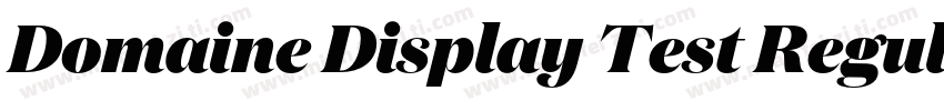 Domaine Display Test Regular字体转换